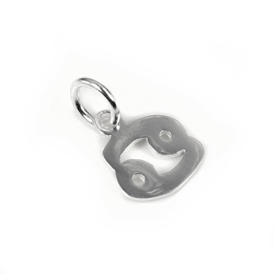 Small Sterling Silver 2D Cancer Cancer Symbol Charm