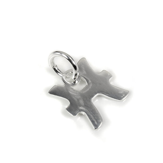 Small Sterling Silver 2D Pisces Pisces Symbol Charm