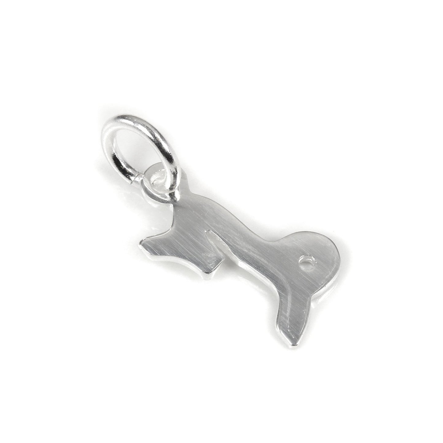 Small Sterling Silver 2D Capricorn Capricorn Symbol Charm