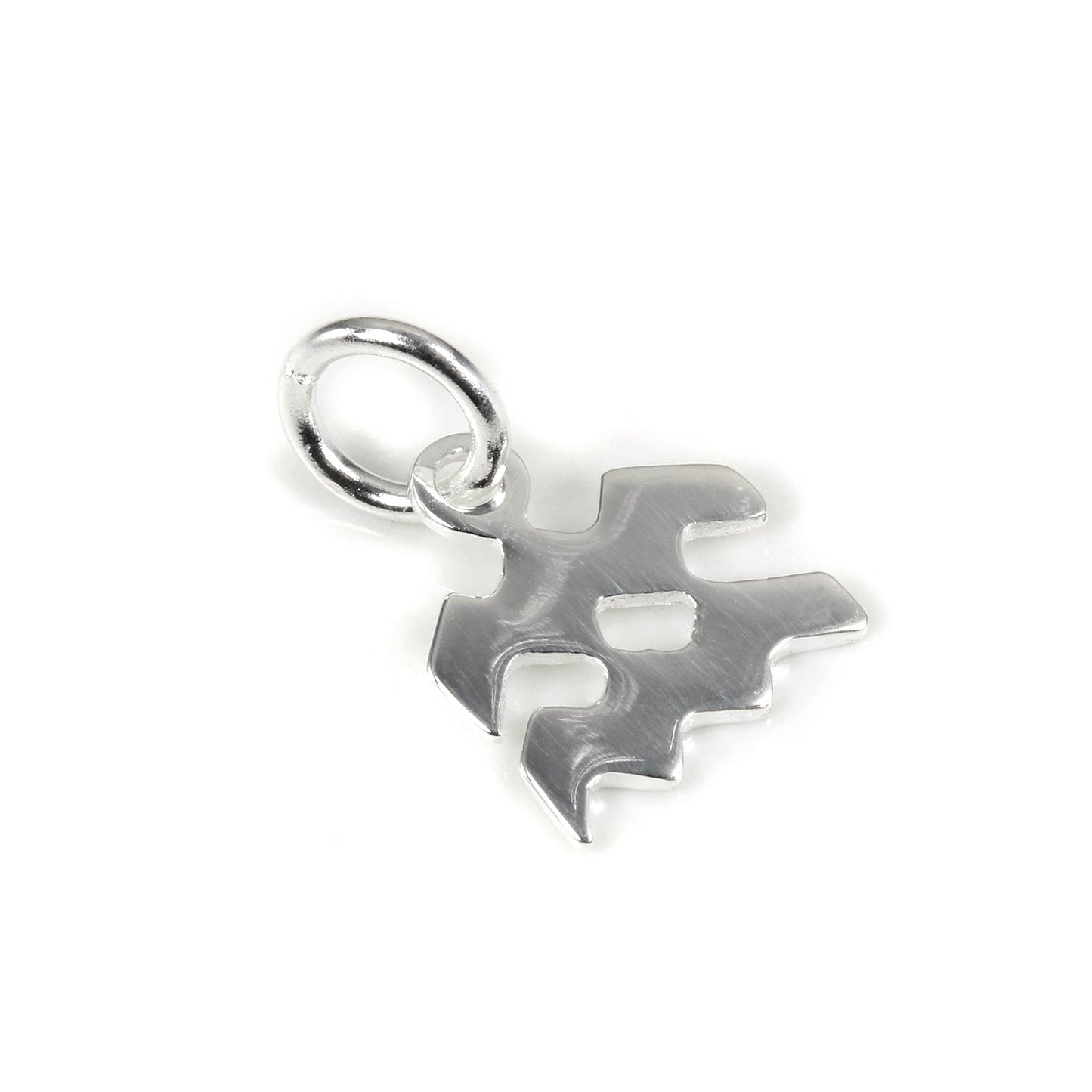 Small Sterling Silver 2D Aquarius Aquarius Symbol Charm