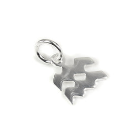 Small Sterling Silver 2D Aquarius Aquarius Symbol Charm