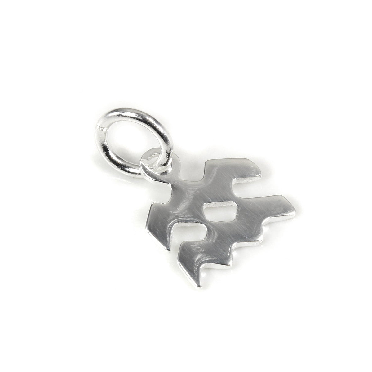 Small Sterling Silver 2D Aquarius Aquarius Symbol Charm