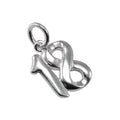 Sterling Silver Birthday Number Charms