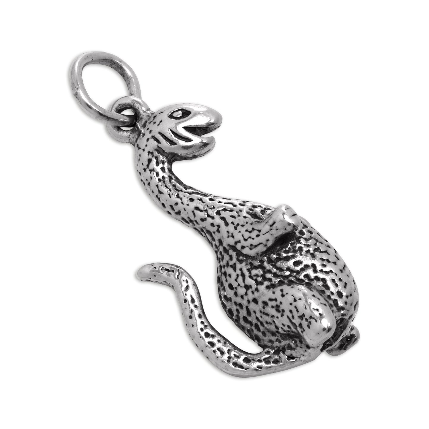 Sterling Silver Happy Dinosaur Charm