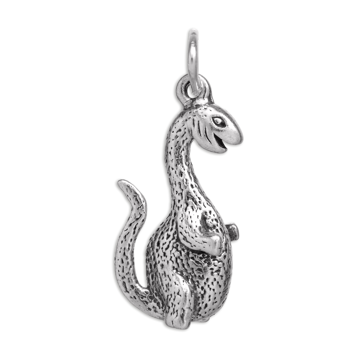 Sterling Silver Happy Dinosaur Charm