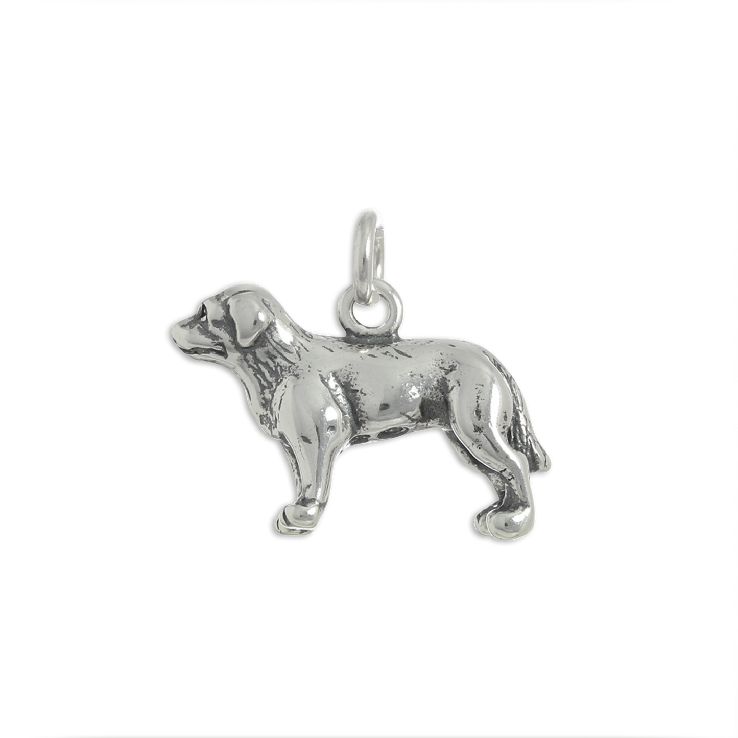 Sterling Silver Labrador Dog Charm