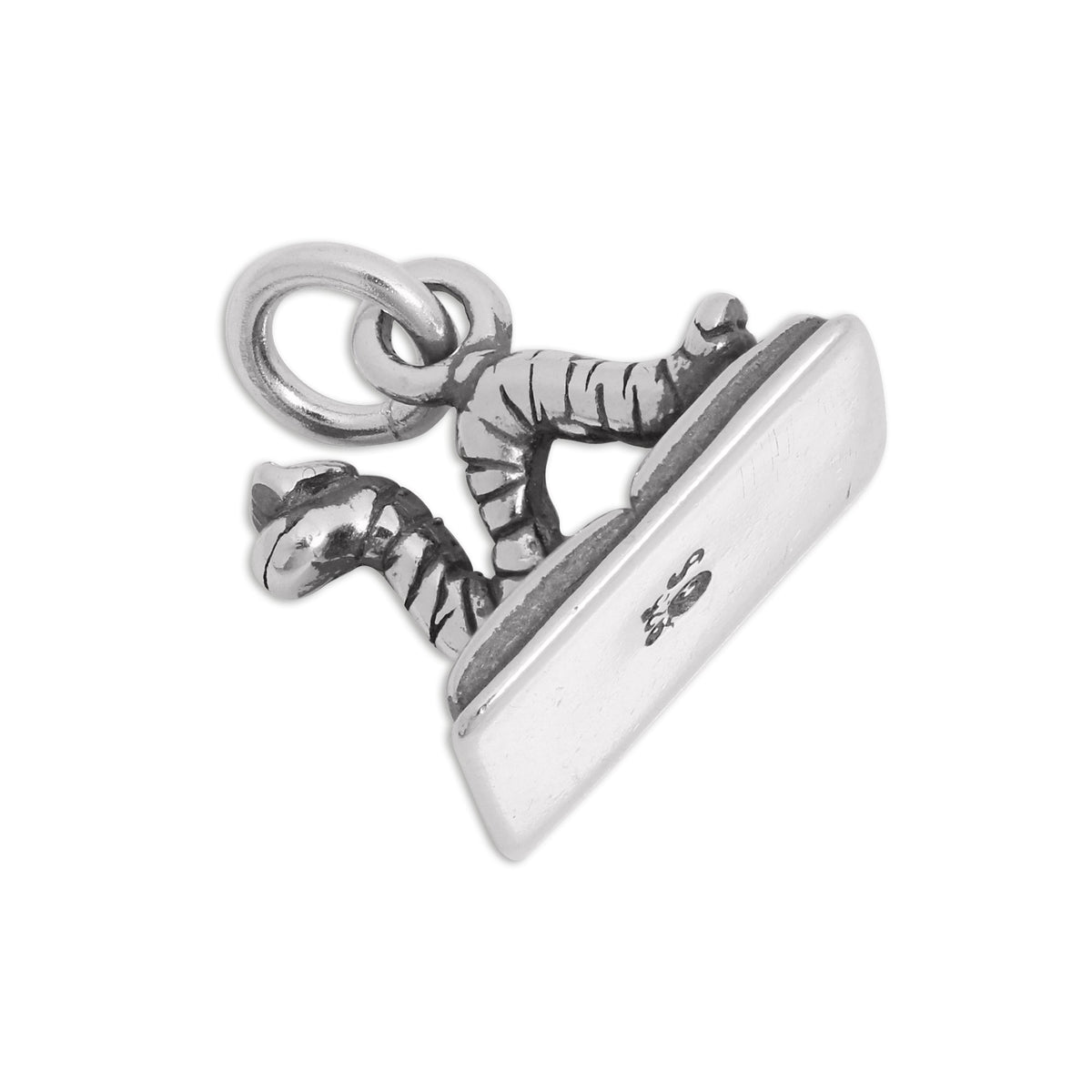 Sterling Silver Bookworm Charm