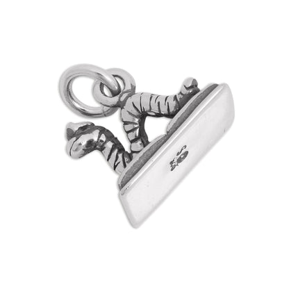 Sterling Silver Bookworm Charm