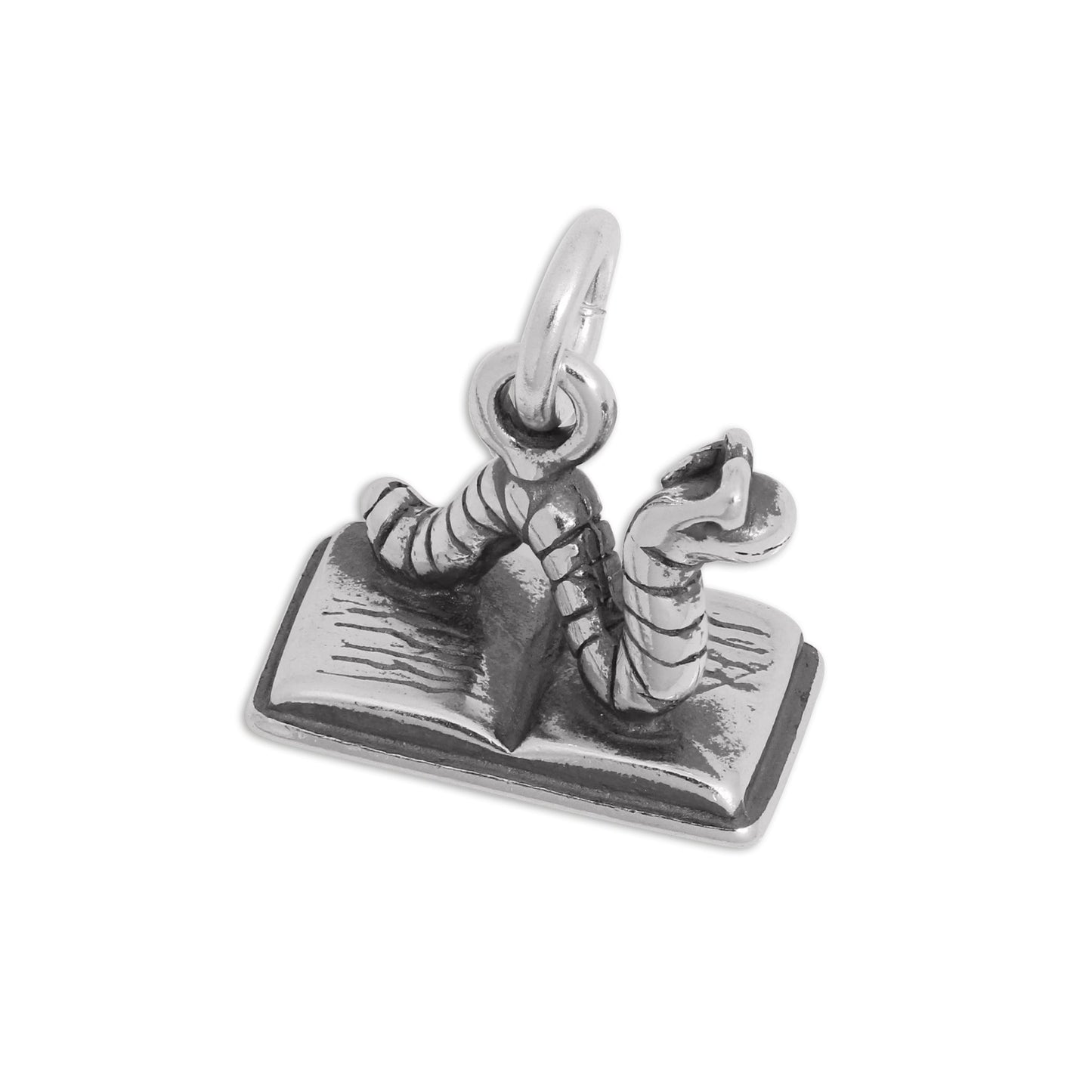 Sterling Silver Bookworm Charm