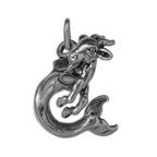 Sterling Silver Capricorn Charm
