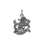 Sterling Silver Pisces Charm