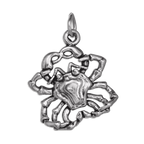 Sterling Silver Cancer Crab Charm
