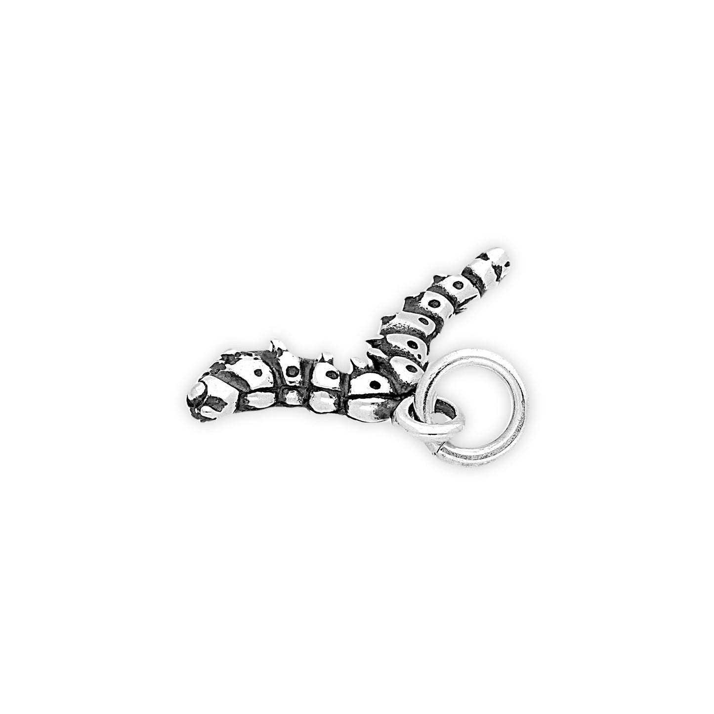 Sterling Silver Caterpillar Charm