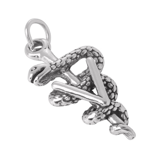 Sterling Silver 3D Vet Charm