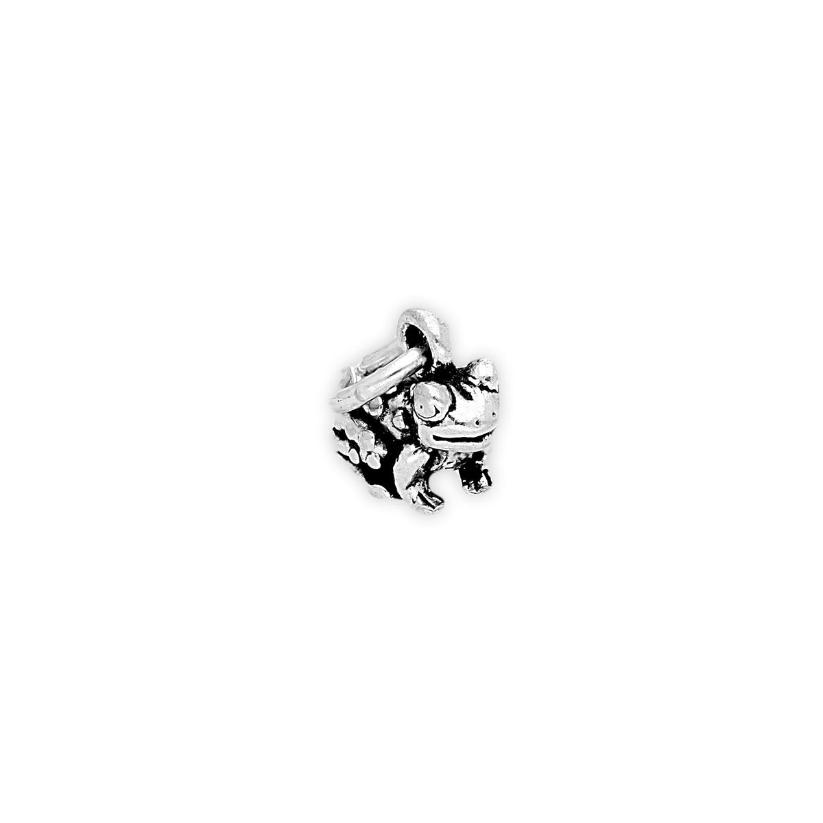Sterling Silver Tiny Toad Charm