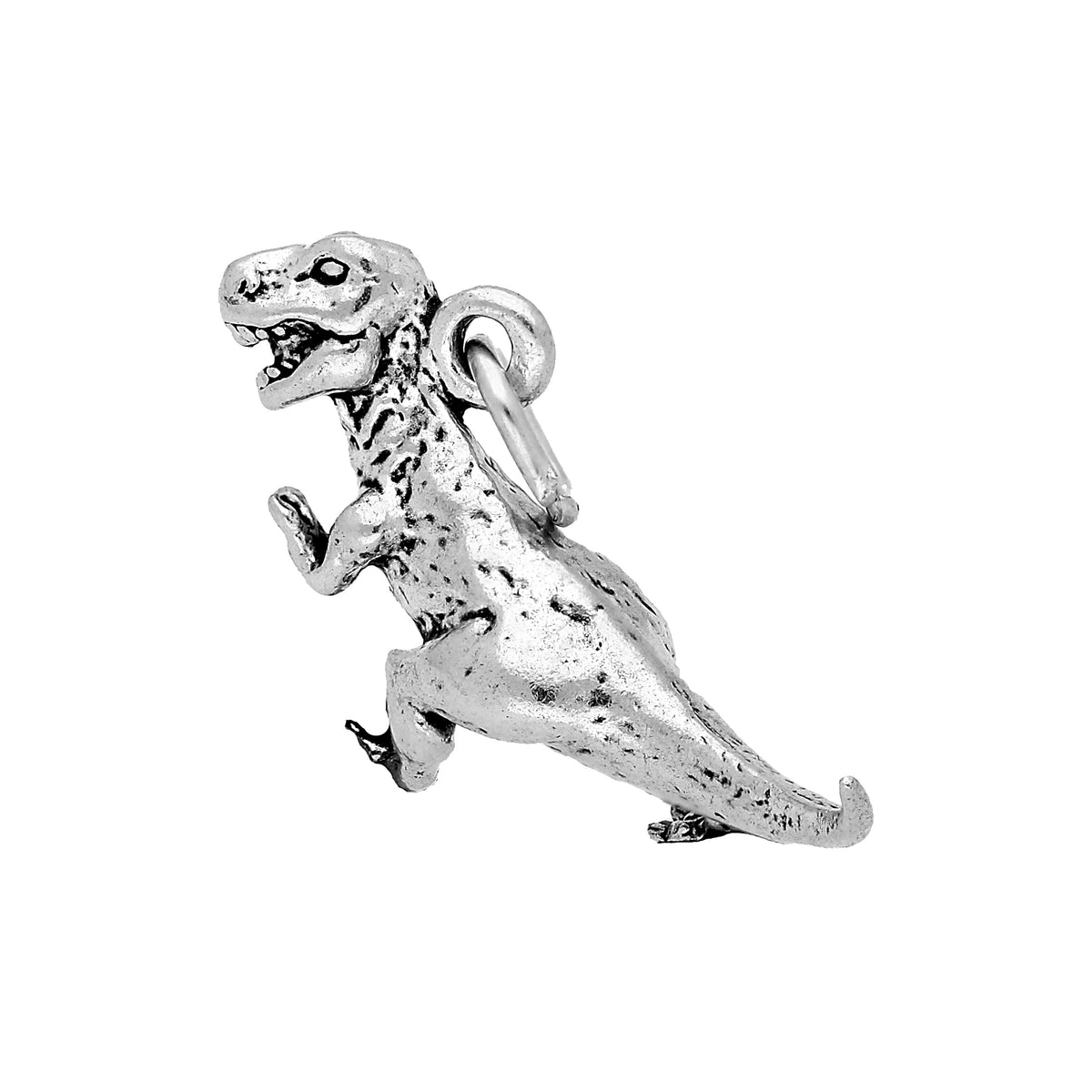 Sterling Silver T-REX Charm