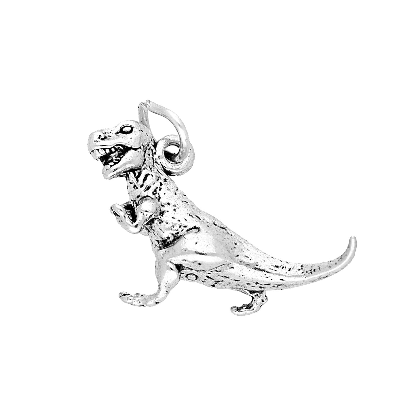 Sterling Silver T-REX Charm
