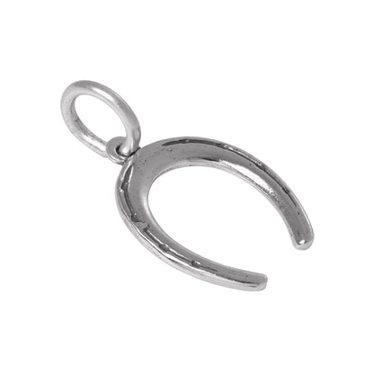 Sterling Silver Lucky Horseshoe Charm