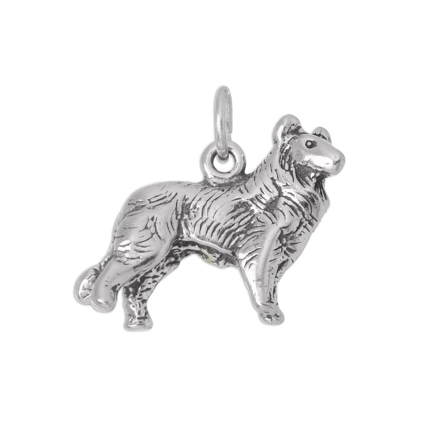 Sterling Silver 3D Border Collie Charm
