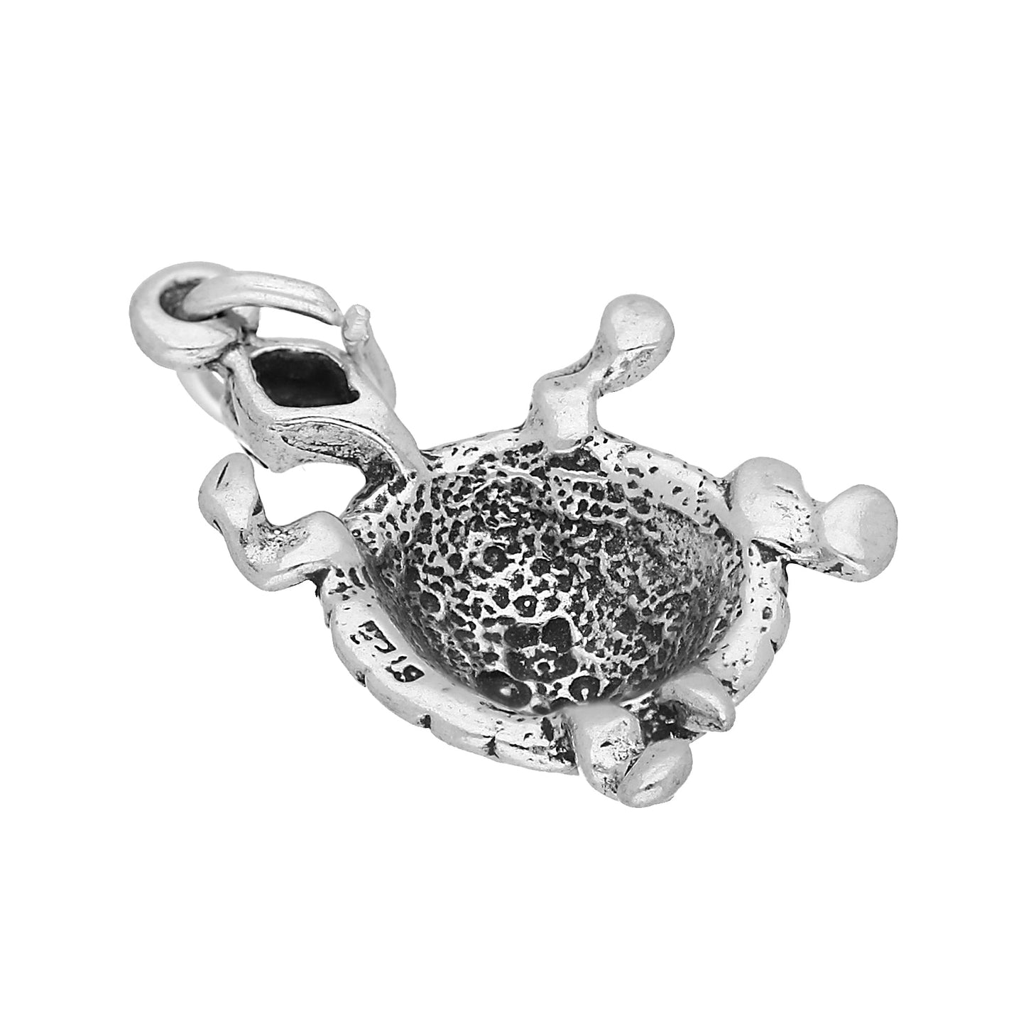 Sterling Silver Turtle Charm
