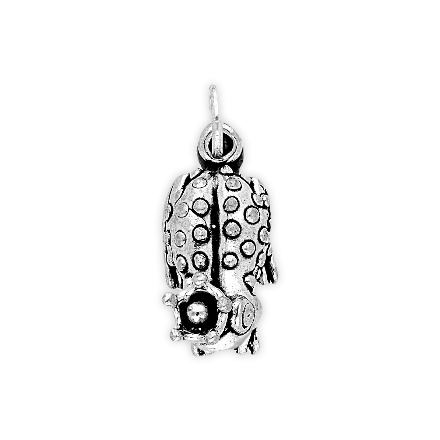 Sterling Silver Frog Prince Charm