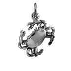 Sterling Silver 3D Zodiac Charms
