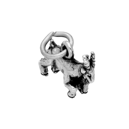 Sterling Silver 3D Zodiac Charms