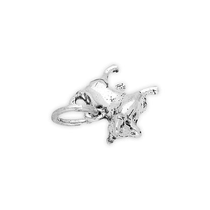 Sterling Silver 3D Zodiac Charms