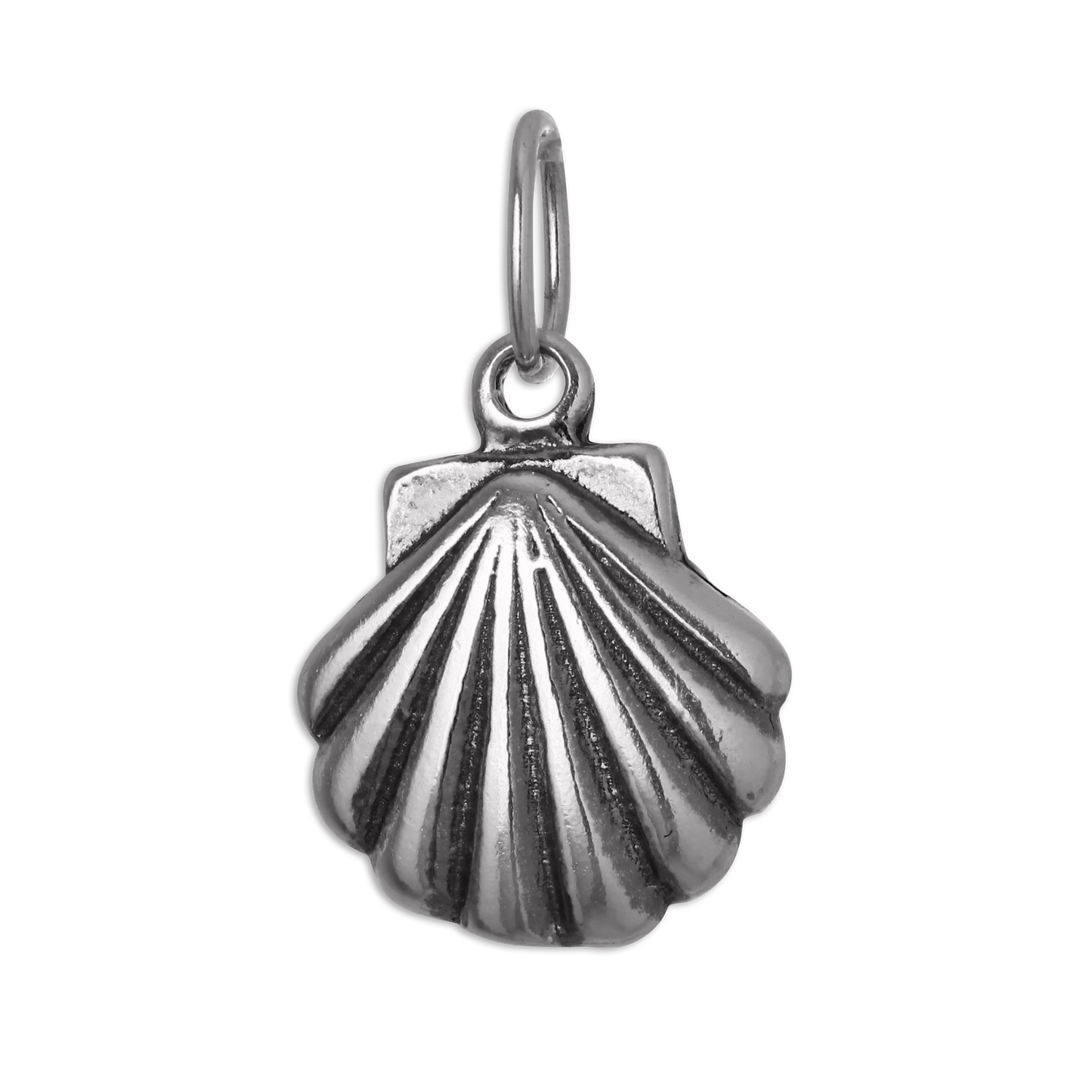 Sterling Silver Sea Shell Charm
