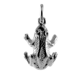 Sterling Silver Frog Charm